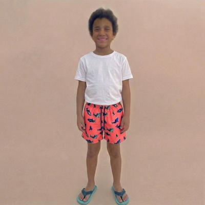 Img 9570 Boy